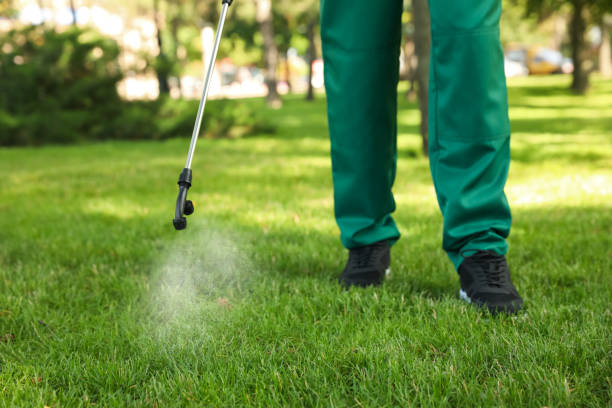 Best Pest Inspection Near Me  in Randolph, NE