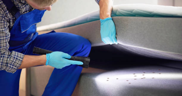 Best Pest Prevention Services  in Randolph, NE