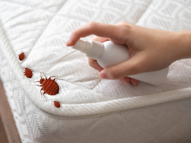 Reliable Randolph, NE Pest Control Solutions