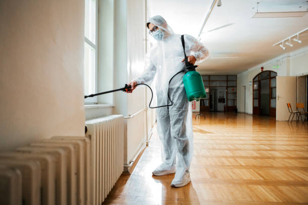 Best Termite Control Services  in Randolph, NE